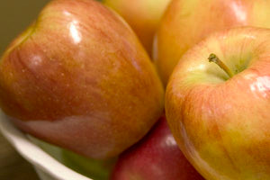 Honeycrisp Apple Tree