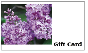 Flowering Shrub Gift Card