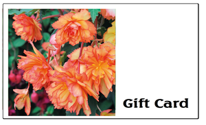 Hanging Basket Gift Card