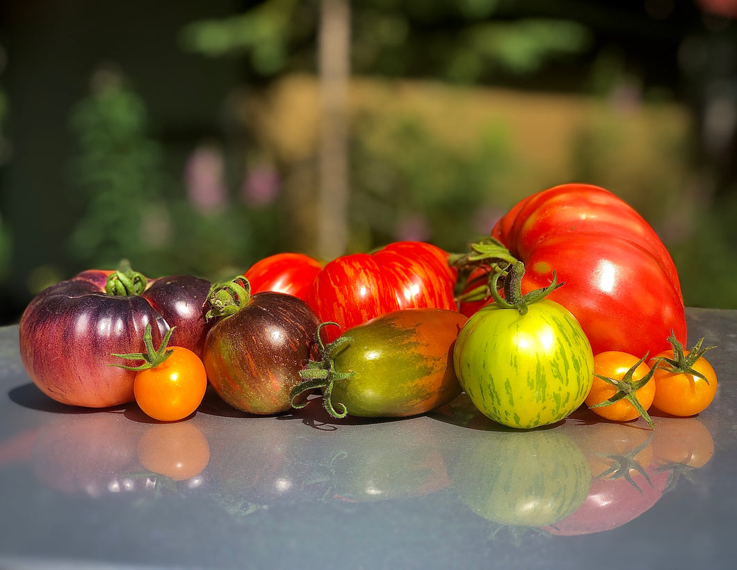 Heirloom Tomatoes By The Pound